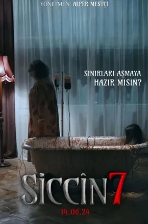 SICCIN 7